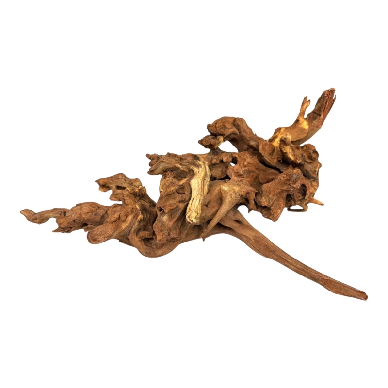 korzen-coral-wood-unikalna-struktura-do-terrarium