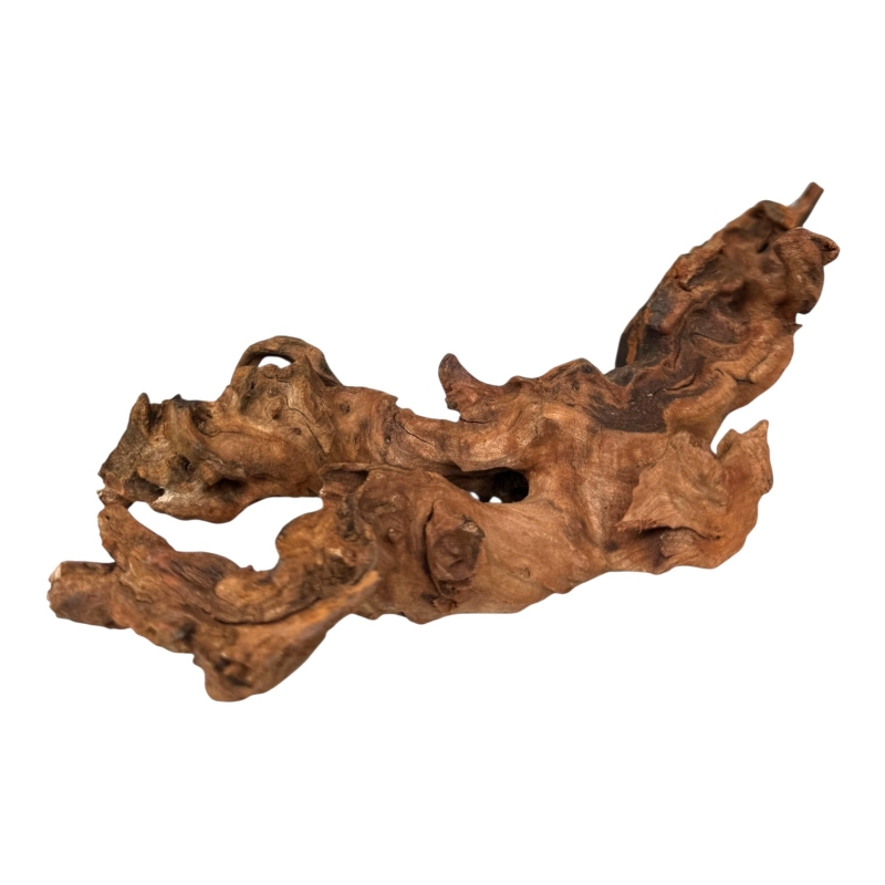 naturalny-korzen-coral-wood-do-akwarium-roslinnego