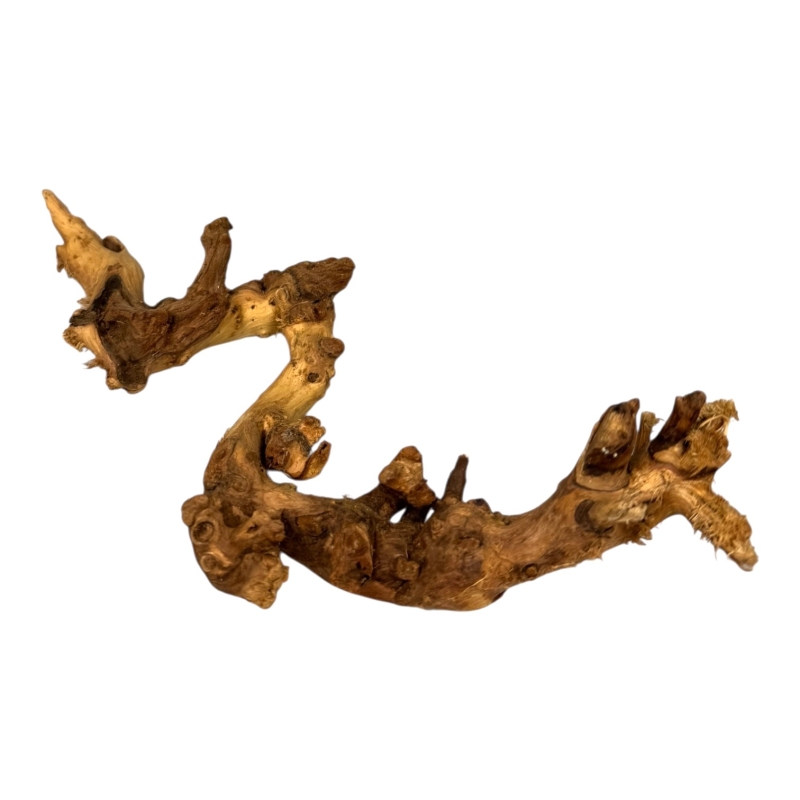 korzen-coral-wood-do-akwarium-i-aranzacji-roslinnych