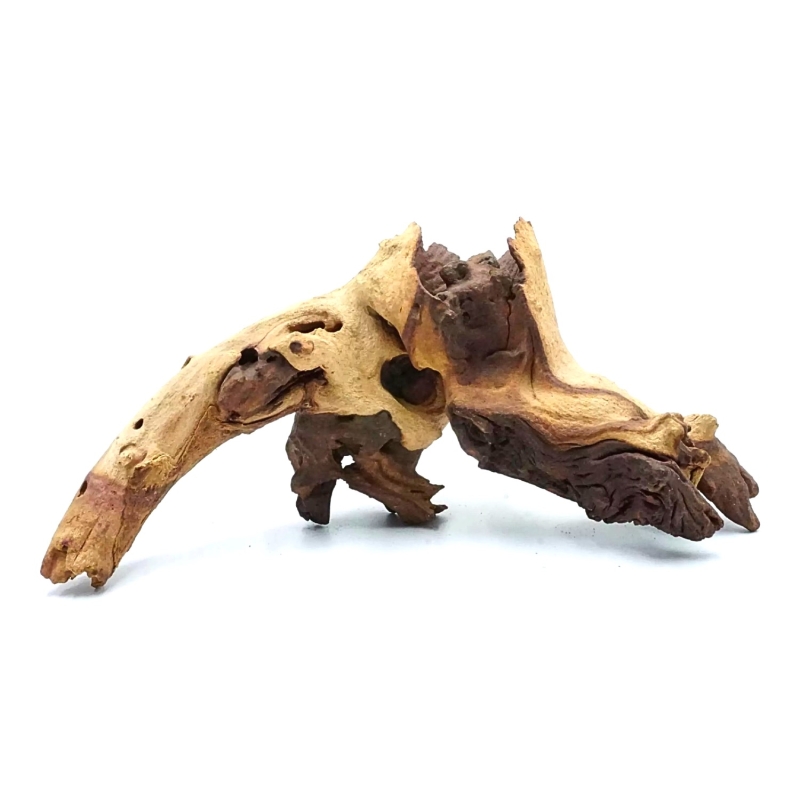 mopani-wood-korzen-do-akwarium-i-terrarium