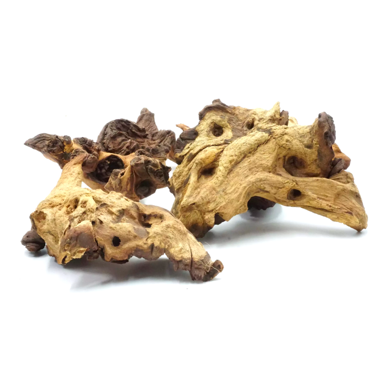 korzen-mopani-wood-ciężki-naturalny-element