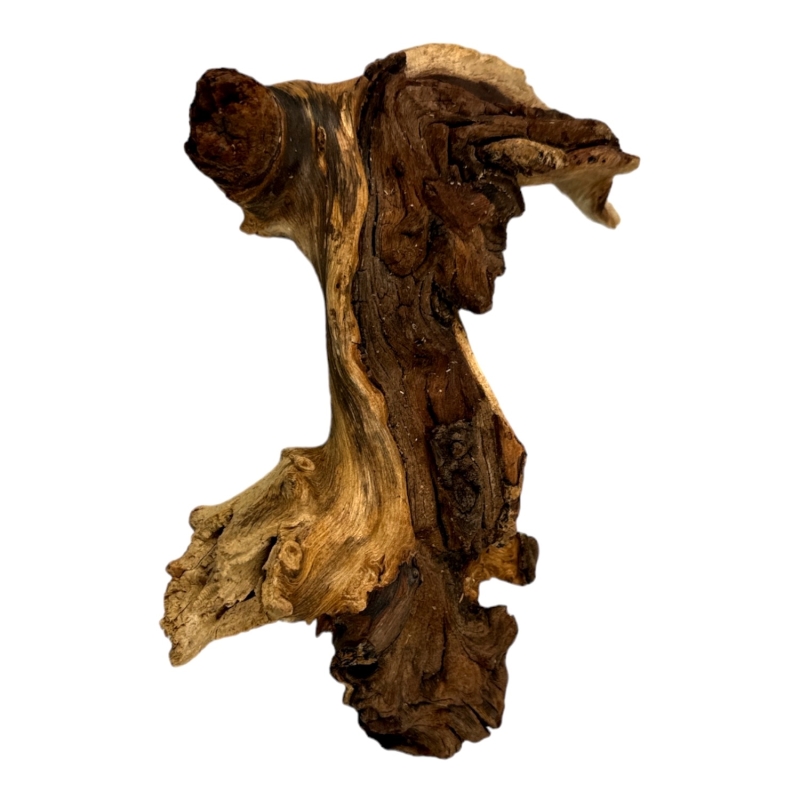 mopani-wood-korzen-do-akwarium-roslinnego