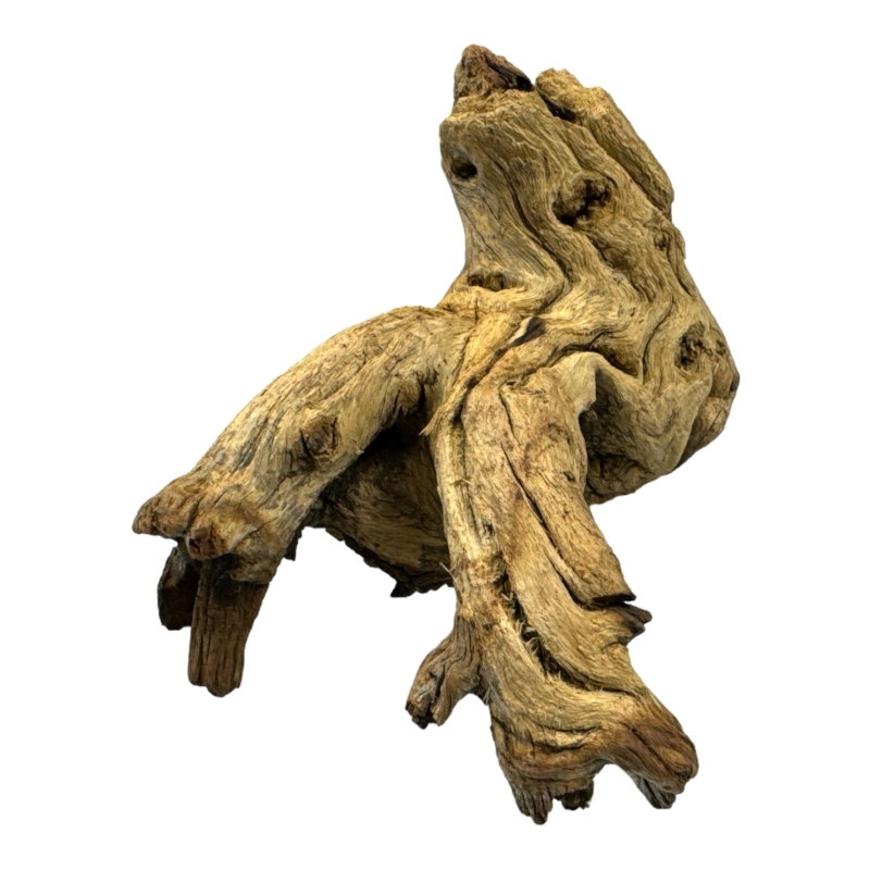 naturalny-korzen-mopani-wood-gotowy-do-uzycia