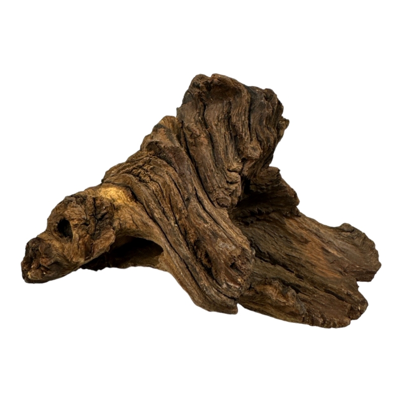 mopani-wood-korzen-bio-root-do-terrarium