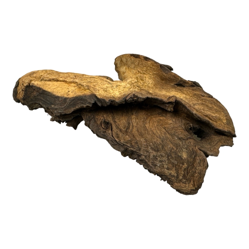 mopani-wood-korzen-tropikalny-do-zbiornikow