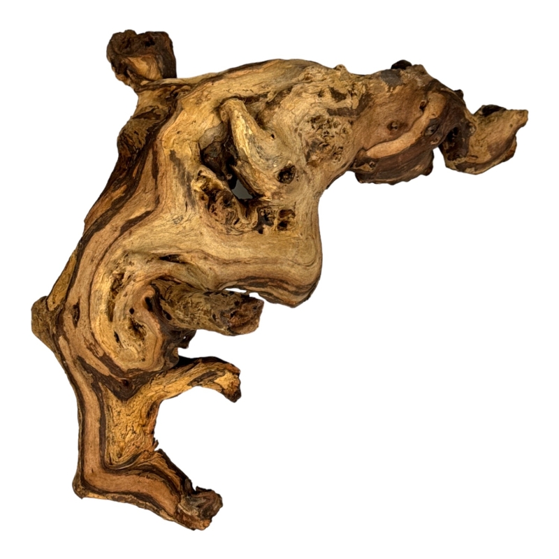 korzen-nieplesniejace