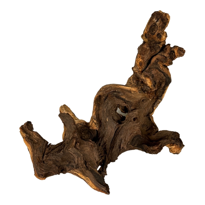 wytrzymaly-korzen-do-terrarium