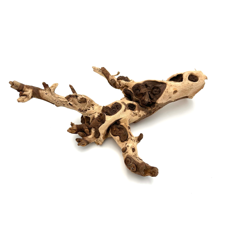 mopani-wood-korzen-bio-root-do-terrarium