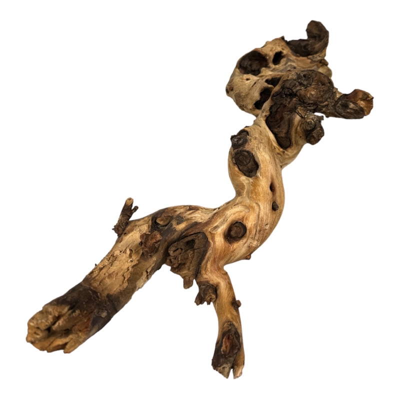 mopani-wood-korzen-do-akwarium-i-terrarium