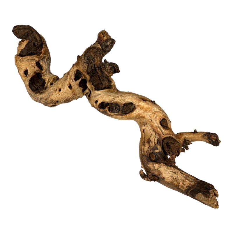 naturalny-korzen-mopani-wood-pod-mchy-i-porosty