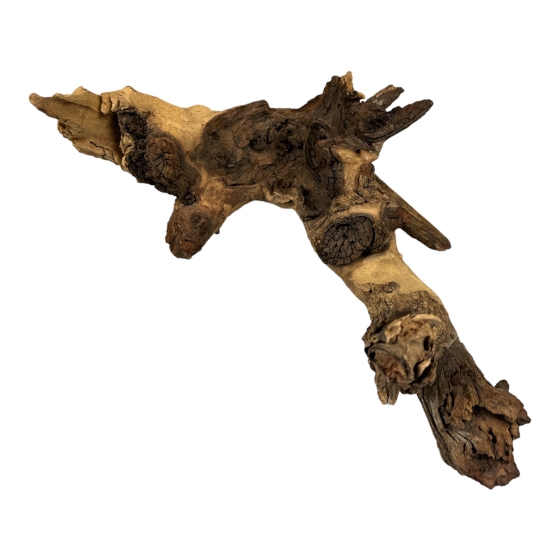 mopani-wood-korzen-do-akwarium-i-terrarium