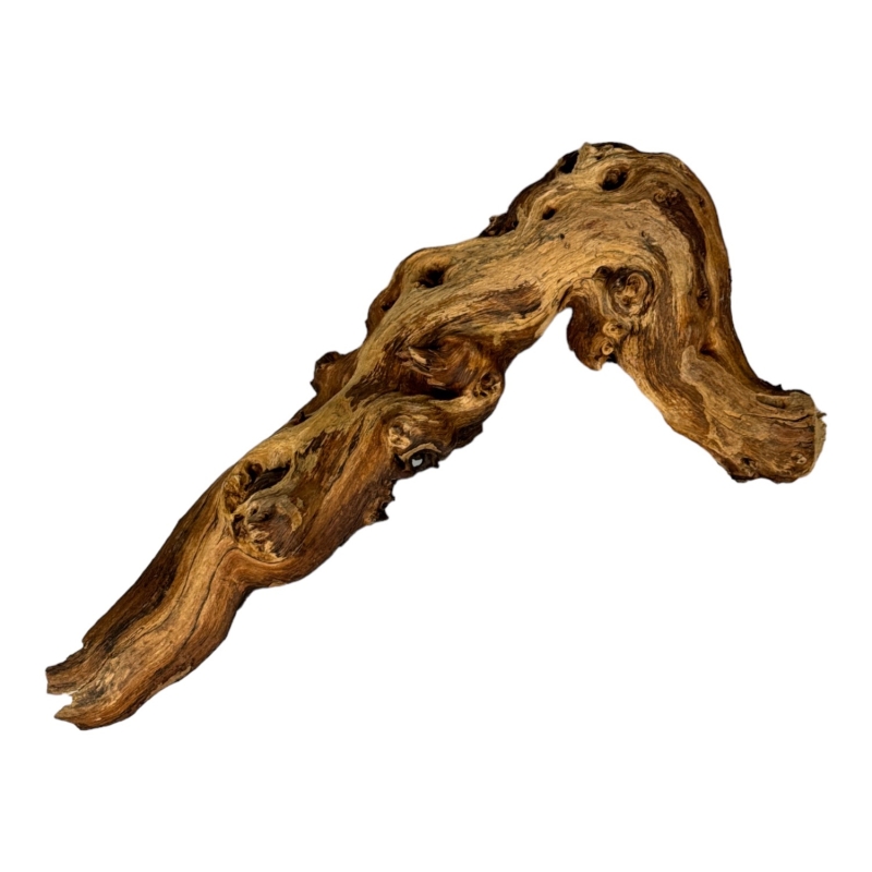 naturalny-korzen-mopani-wood-do-dekoracji