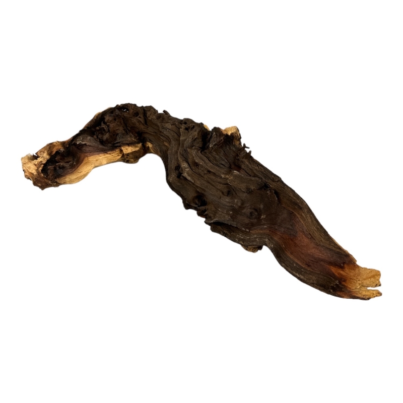 naturalny-korzen-mopani-wood-gotowy-do-uzycia