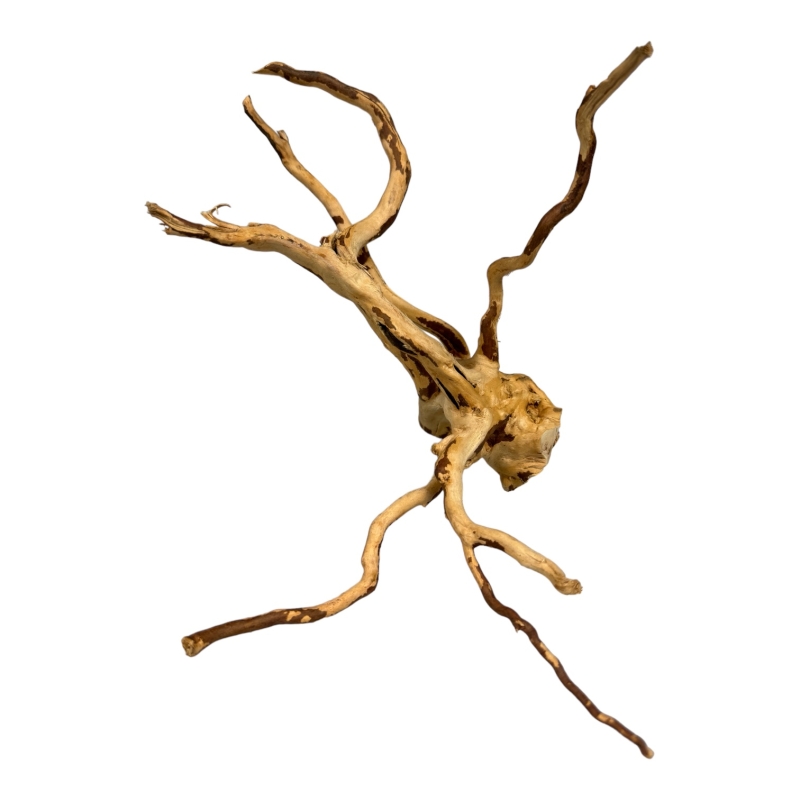 korzenie-akwarystyczne