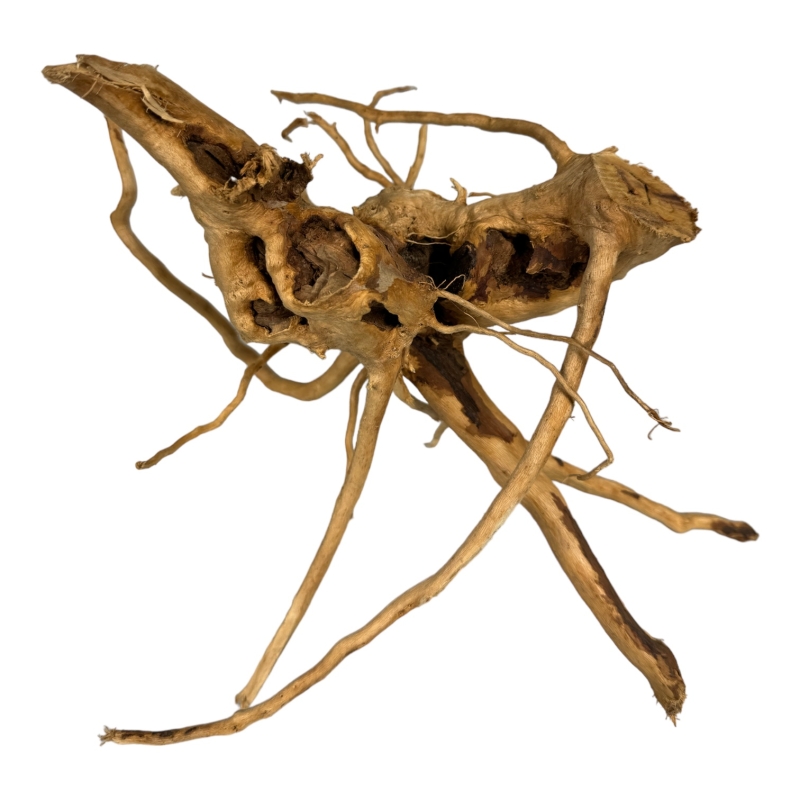 importer-korzeni-do-akwarium