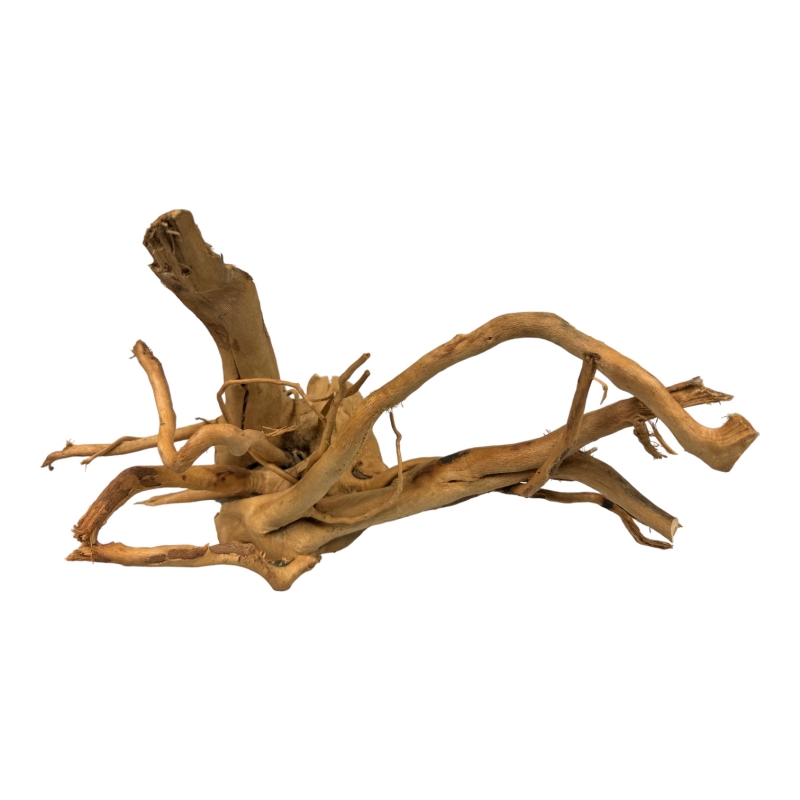 rozgałęziony-korzen-do-akwarium