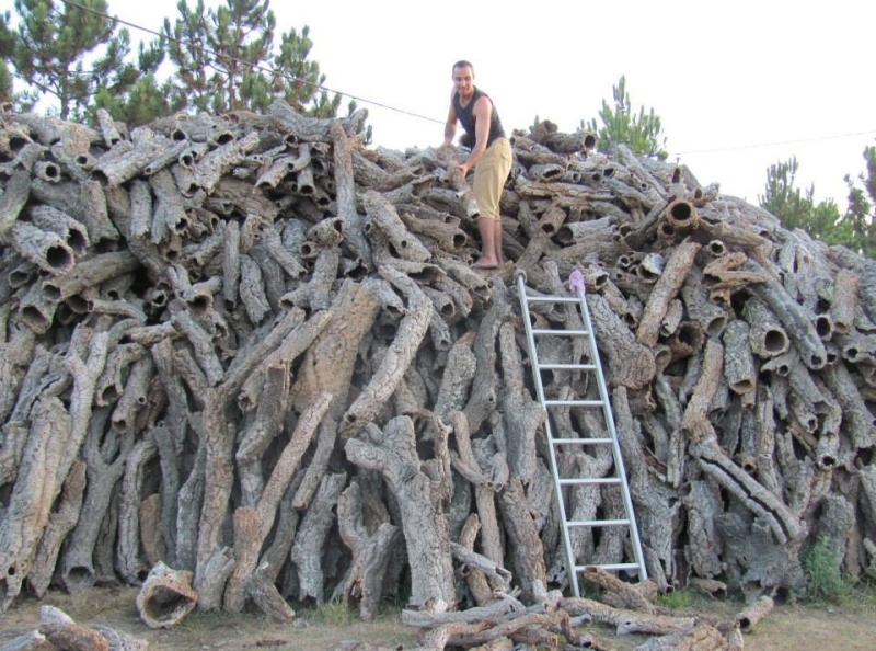 najwiekszy-sklep-dla-gadow-terrarystow