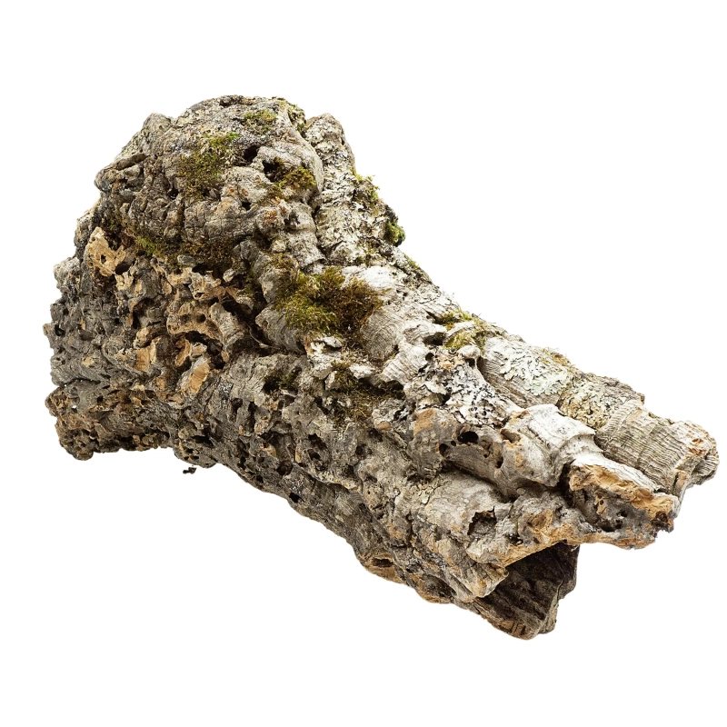 tuby-korkowe-do-terrarium