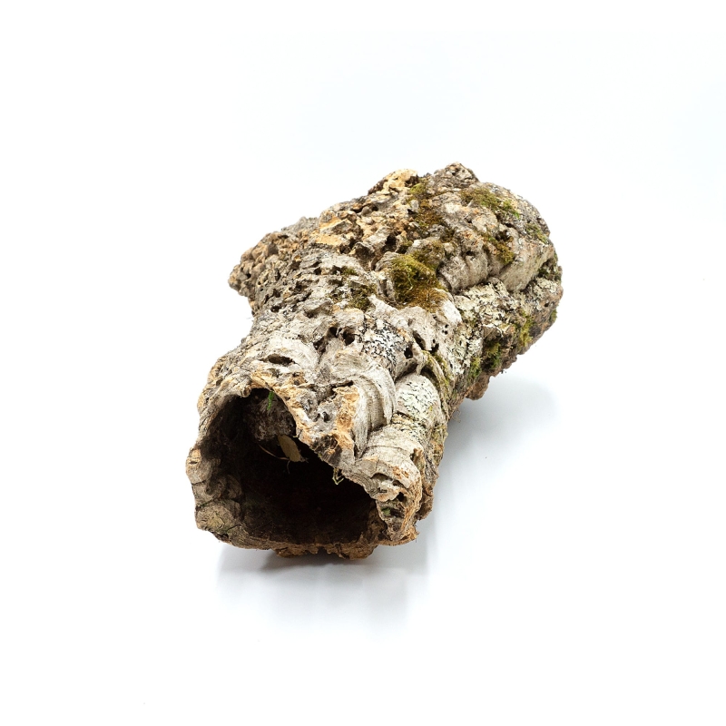 sklep-terrarystyczny-w-Polsce