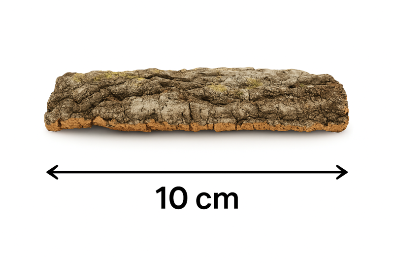 plat-korkowy-do-terrarium-S-10cm