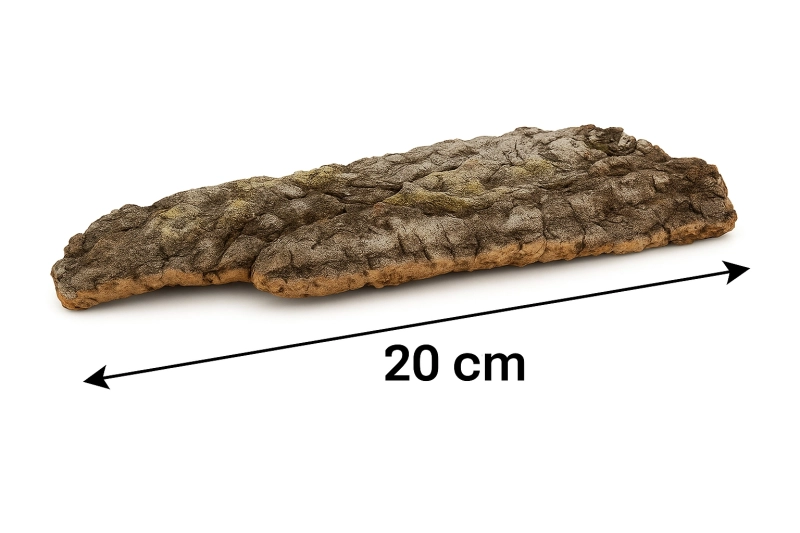 plat-korkowy-do-terrarium-M-20cm