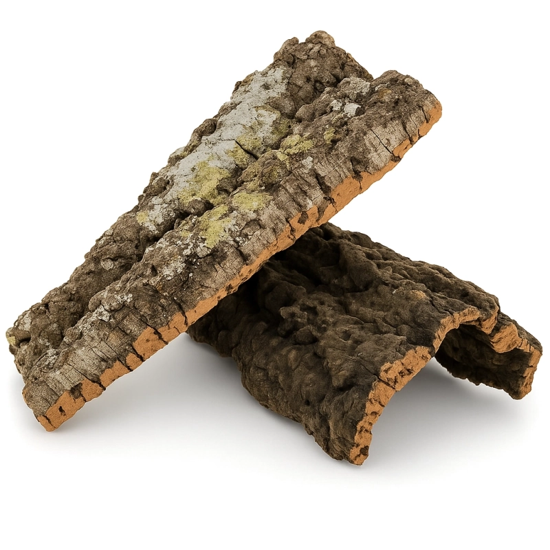 plat-korkowy-na-scianke-w-terrarium