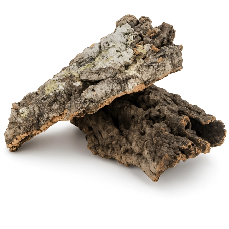 scianka-do-terrarium-z-korka