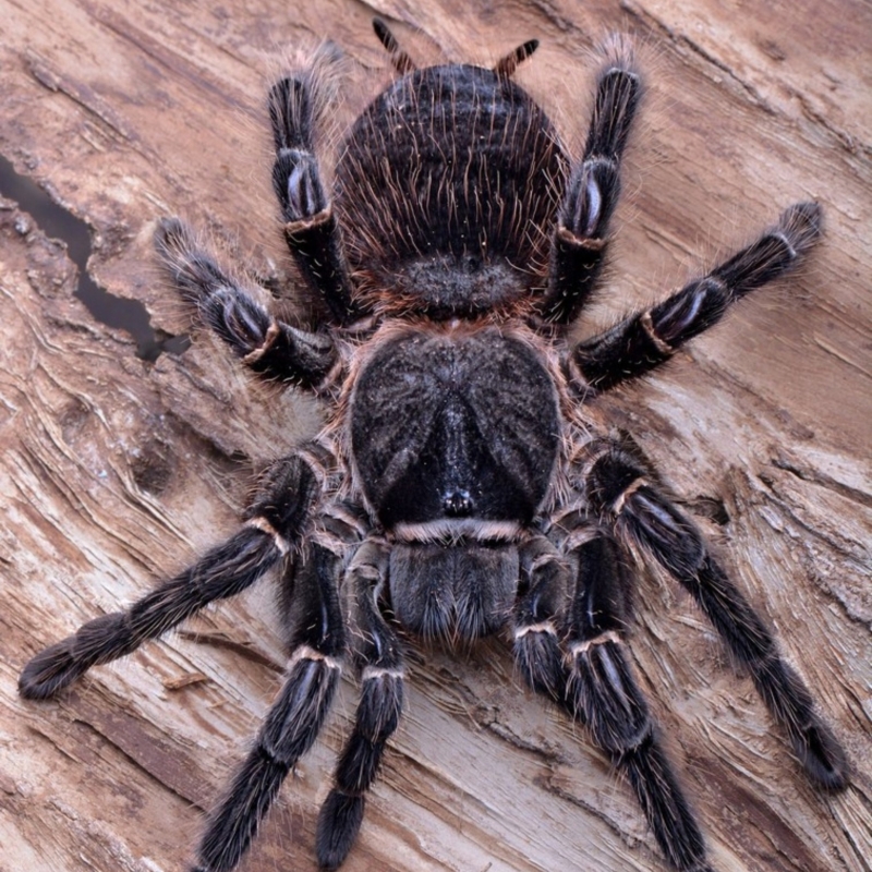 7133d04abff42a22cf3d34e72575e120