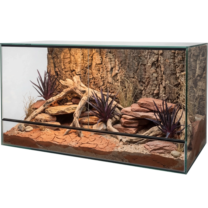 terrarium-dla-agamy-aranzacja
