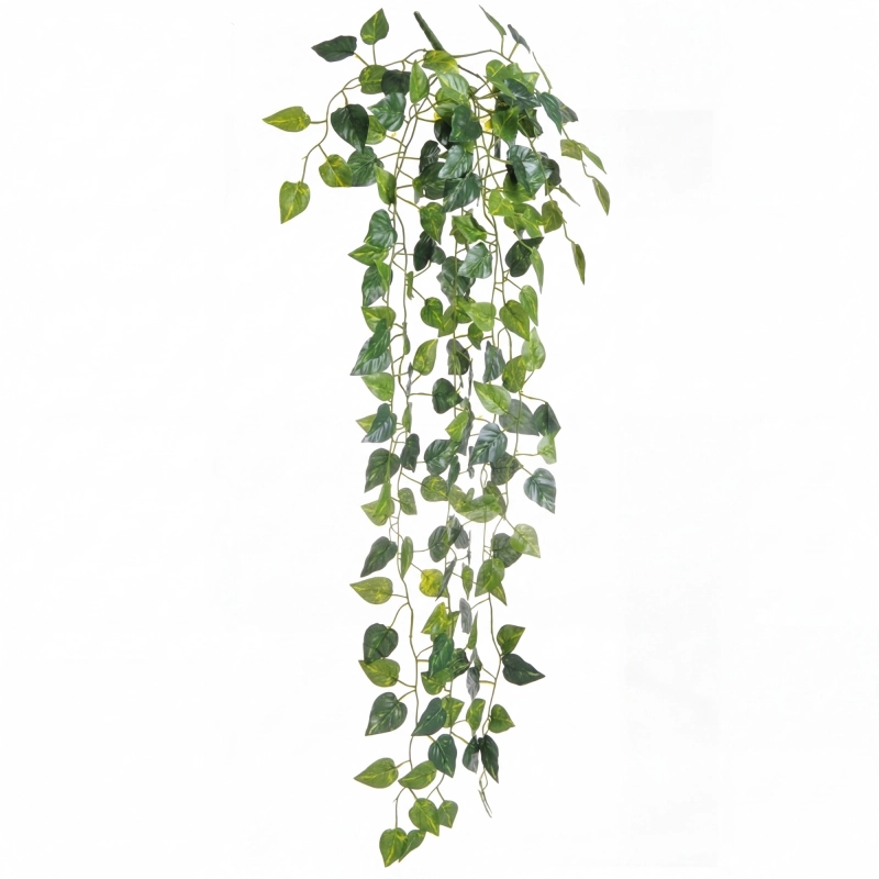 bluszcz-do-terrarium-90cm