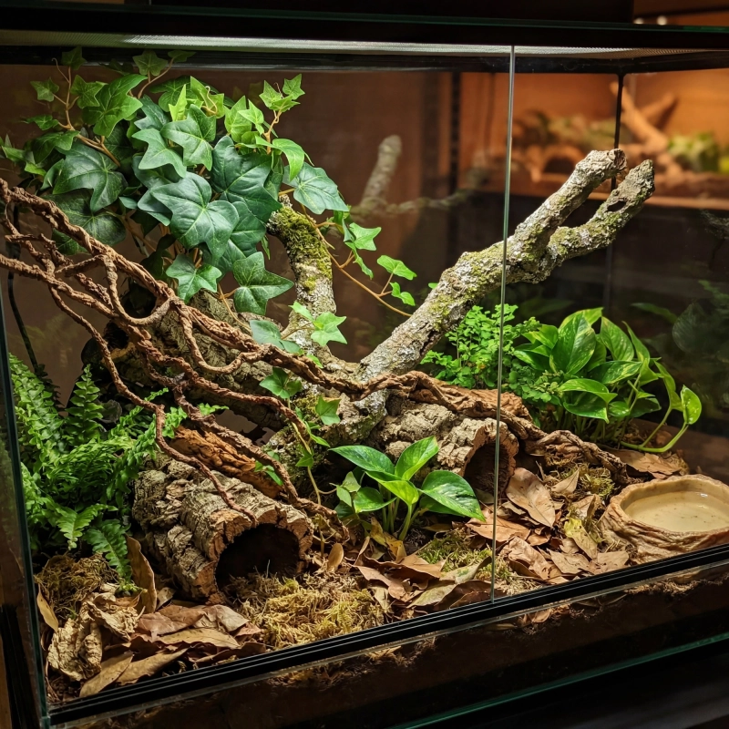 terrarium-z-bluszczem