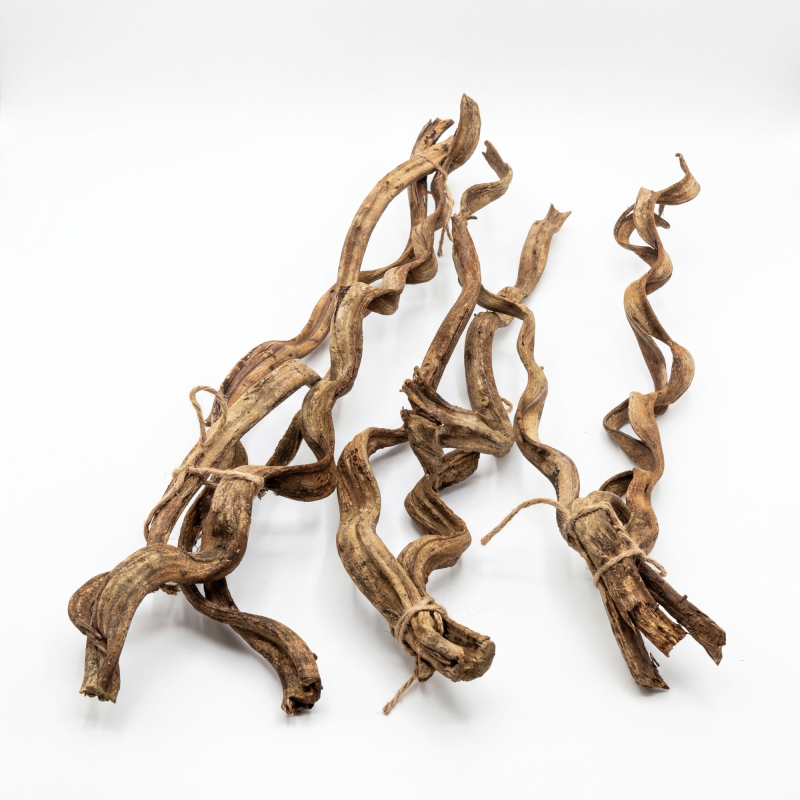 zestaw-lian-naturalnych-do-terrarium