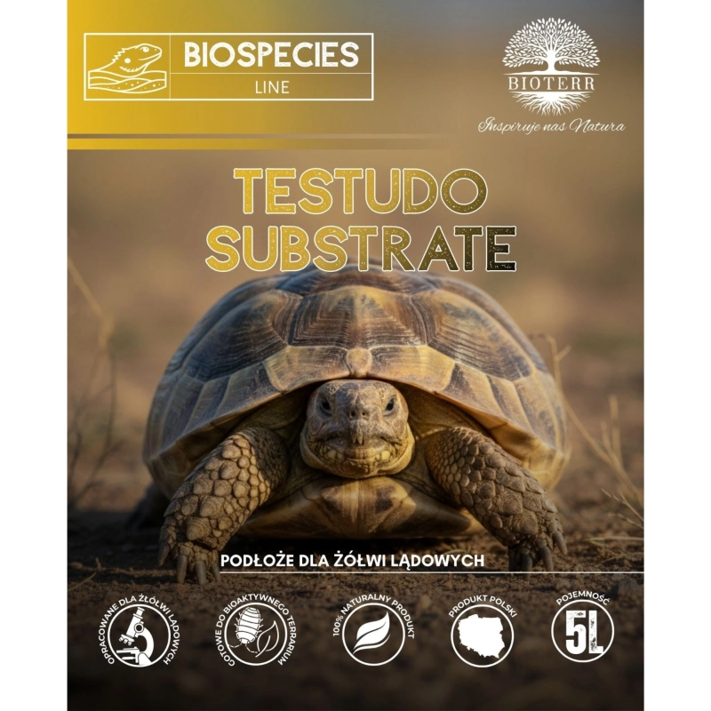 podloze-dla-zolwia-greckiego