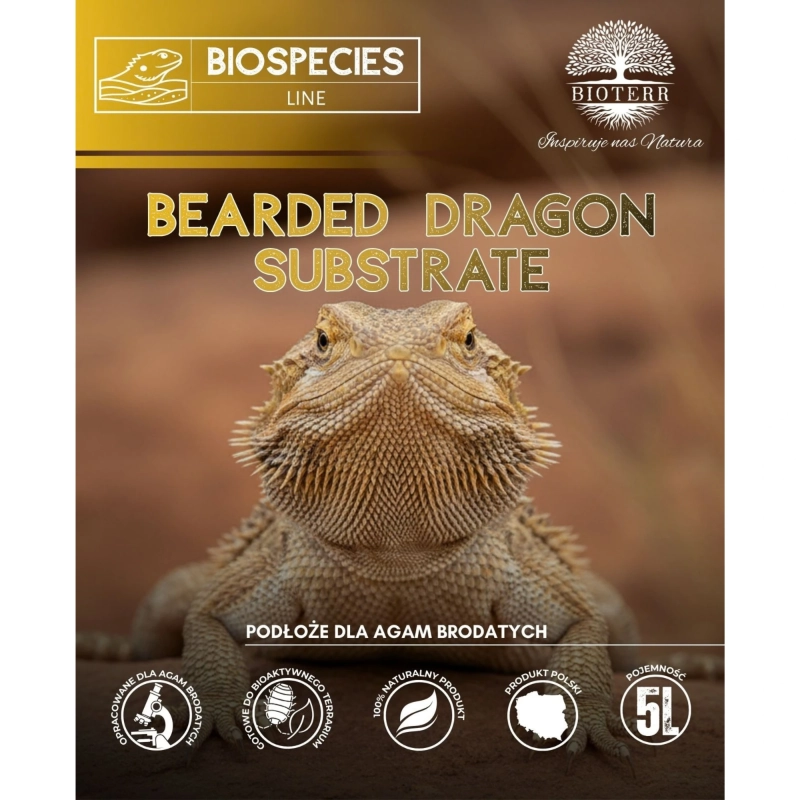 bezpieczne-podloze-dla-agamy