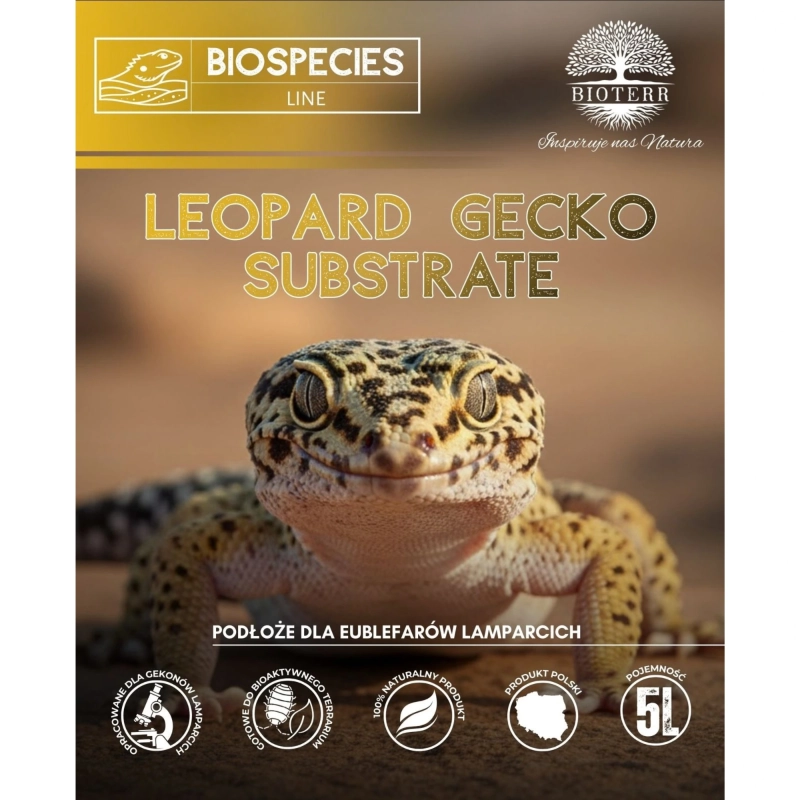 bezpieczne-podloze-dla-gekona