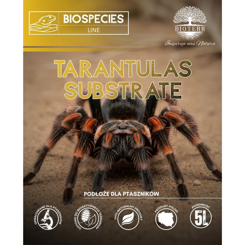 gotowe-podloze-do-terrarium-z-ptasznikiem