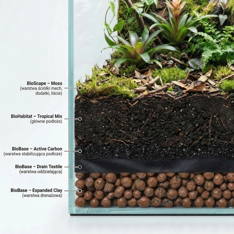 przekroj-przez-warstwy-podloza-w-terrarium-bioaktywnym
