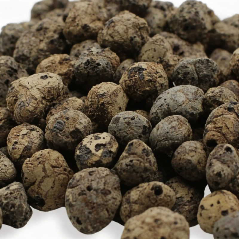 keramzyt-do-terrarium