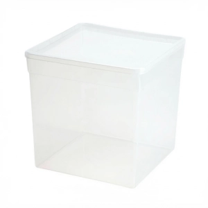 Pojemnik hodowlany Braplast 5,8 L 19x19x19 cm – box dla pająków, isopodów i małych gadów