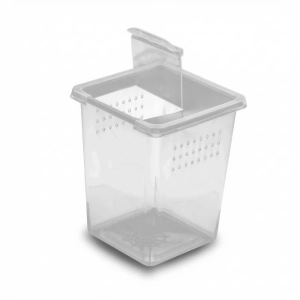 Pionowy pojemnik hodowlany z wentylacją 8x8x11 cm – dla pająków nadrzewnych i modliszek