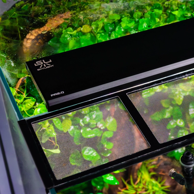 skylight-pr2q