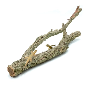 Gałąź korkowa XS | dł. 30cm | BioCork Branch | gałąź korkowa dębu korkowego