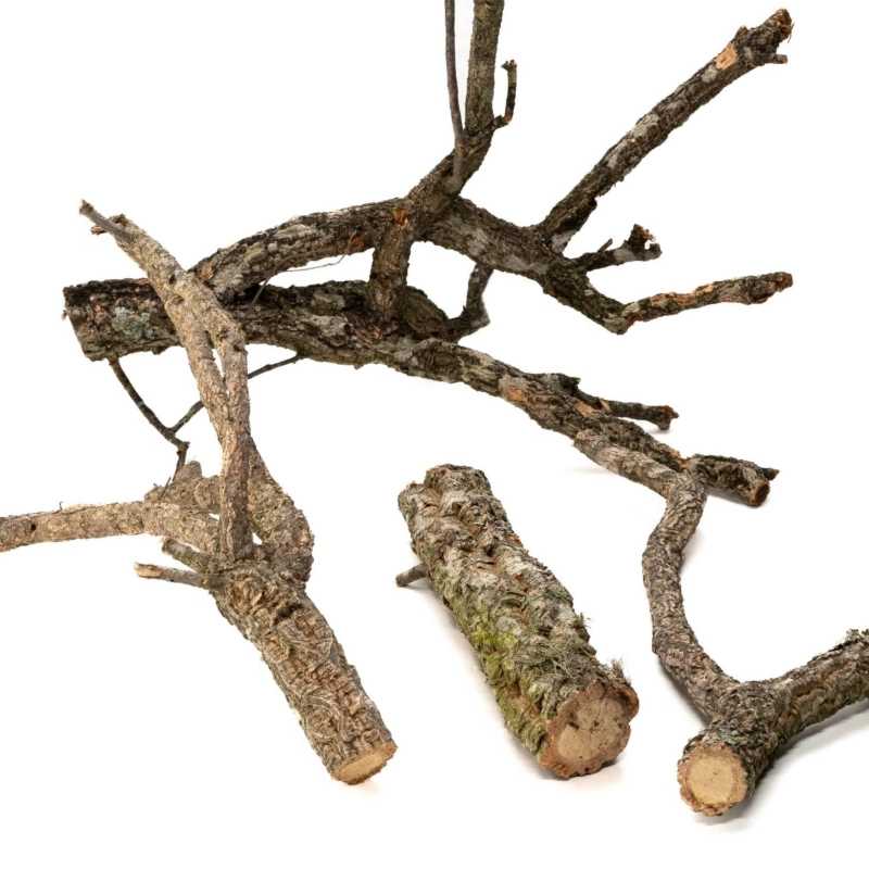 galezie-z-korka-dla-gekonow