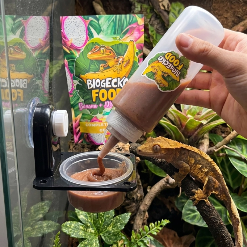 Karmienie gekona orzęsionego papką BioGecko Food z butelki