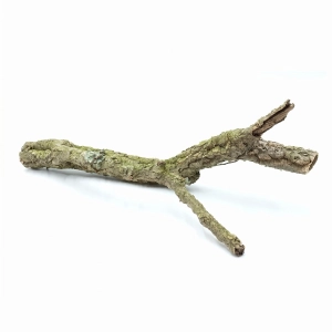 Gałąź korkowa M | dł. 50 cm | BioCork Branch | gałąź korkowa dębu korkowego
