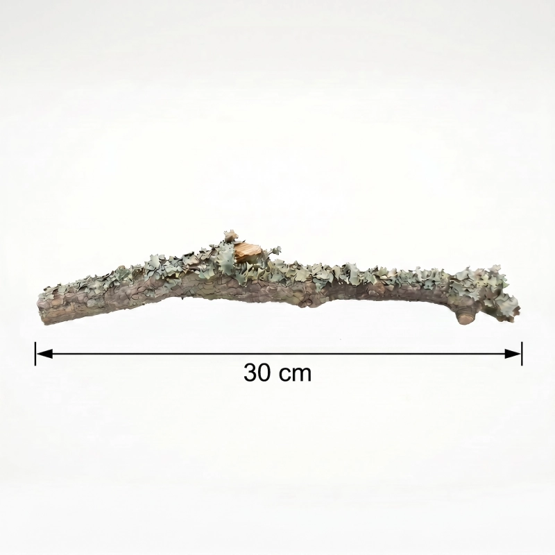 gałąź 30cm.webp