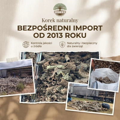 bezpośredni import.webp