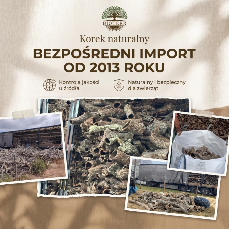 bezpośredni import.webp