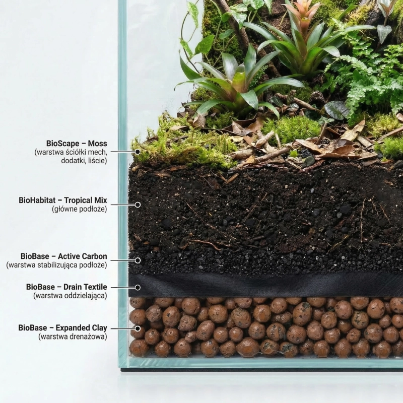 warstwy podłoża w terrarium