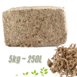 Mech torfowiec 5kg Sphagnum CHILE / ARGENTYNA